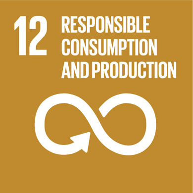 Goal 12: Ensure sustainable consumption and production patterns Image