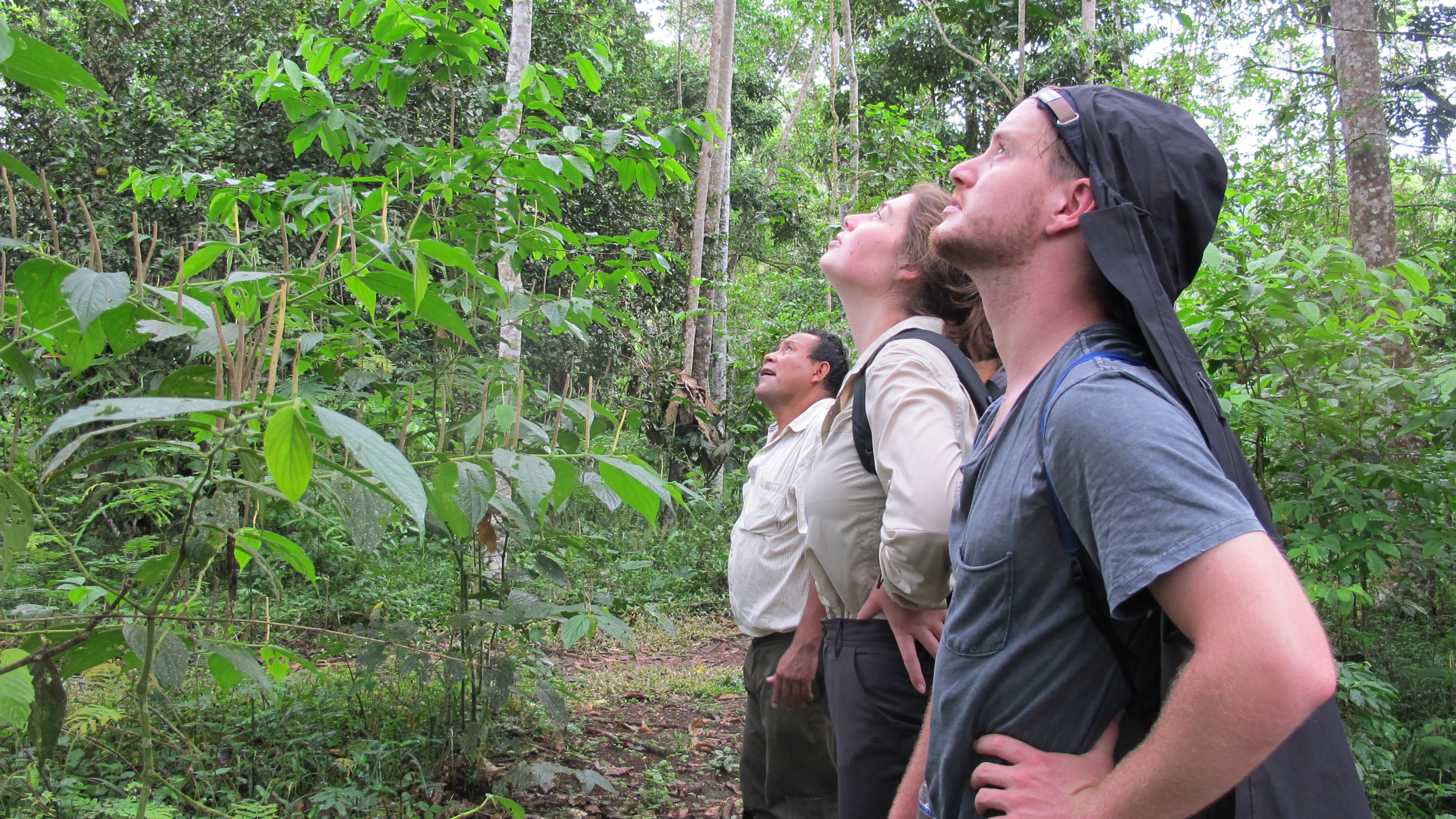 amazon sustainability challenge Listing Image