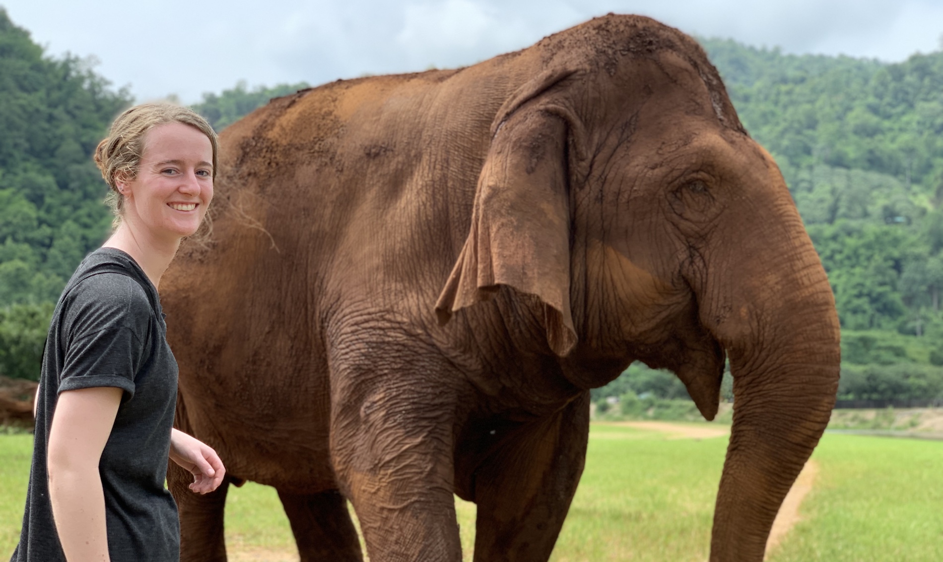 Wildlife Conservation in Thailand Banner