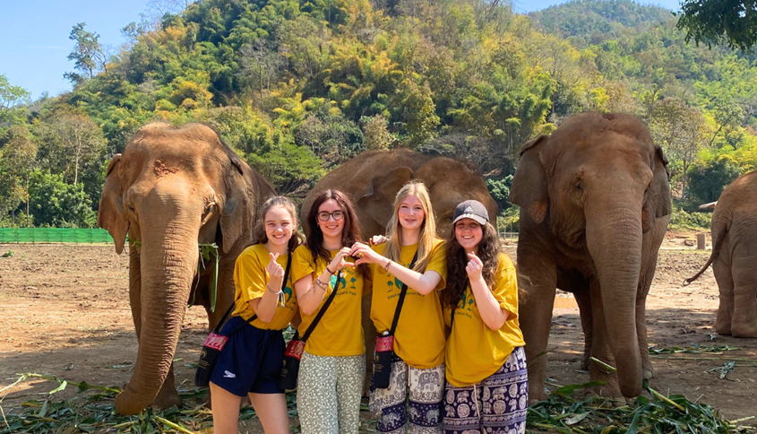 Thailand Elephants and Hill Tribes Challenge Listing Image