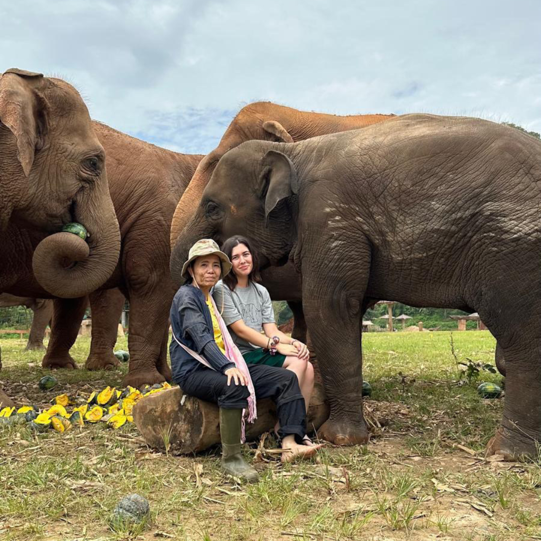 Wildlife & Adventure Carousel Image